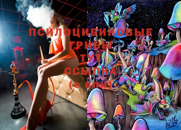 тгк Баксан