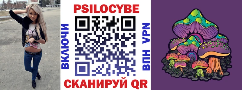 наркошоп  Кашин  Псилоцибиновые грибы ЛСД 